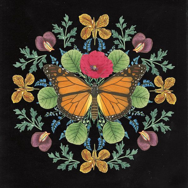 Vlinder mandala i zwart, Wild Apple Portfolio van Wild Apple