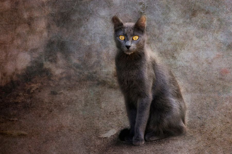 Amberkleurige ogen van Claudia Moeckel op canvas, behang en meer