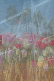 Tulpen als Stütze von Art. by Janine