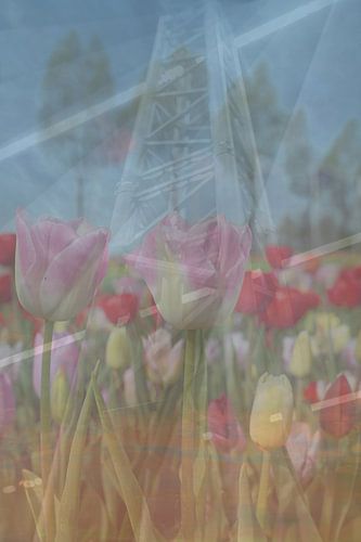 Abstracte fotografie | Fine-Art Nature |  Tulpen als steunpilaar
