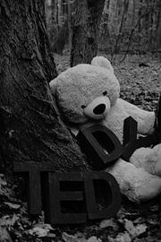 Nounours sur bianca post