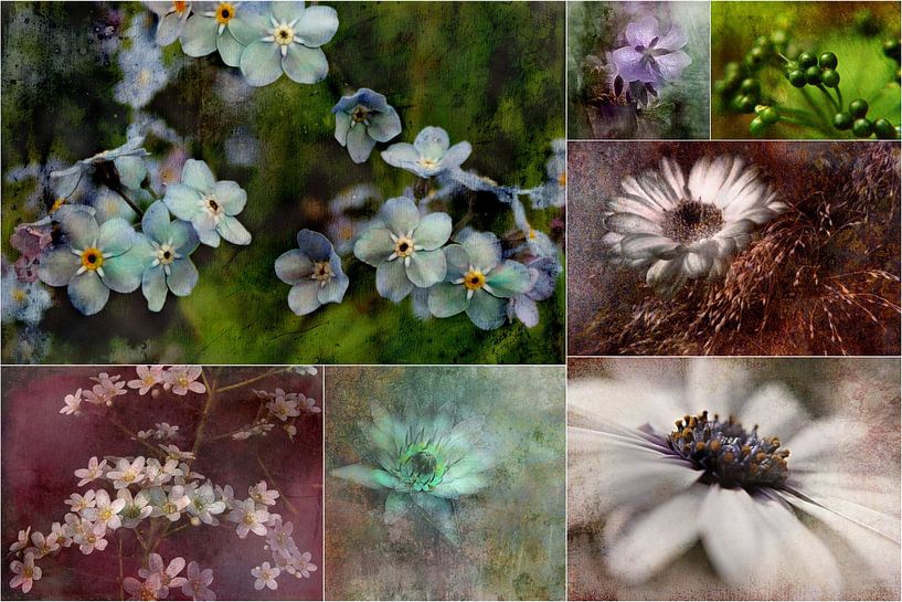 Collage - Schönheit der Natur mit Blüten in Türkis und Weiß von Claudia Gründler
