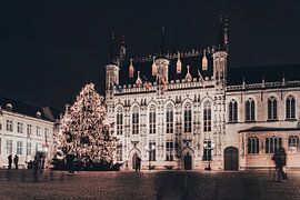 Brügger Rathaus mit Weihnachtsbaum bei Nacht