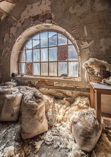 Une usine de loups abandonnée