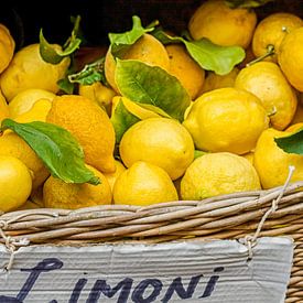 Frische Zitronen in einem Korb auf einem Markt in Italien von Patricia Hofmeester