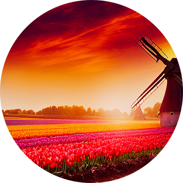 Oude windmolen in een tulpenveld in Nederland Illustratie van Animaflora PicsStock