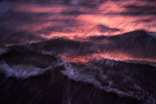 Flowmocean 1