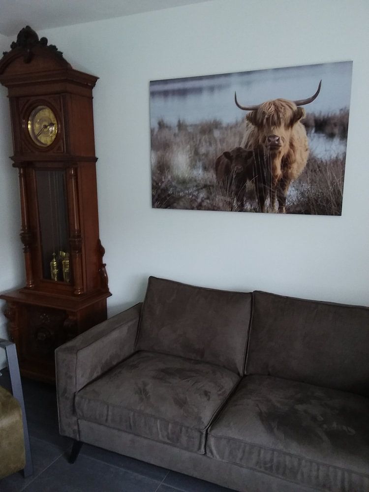 Veilig bij mama  van Marc van Tilborg 