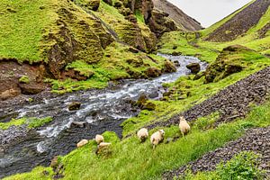 Fluss Kverná