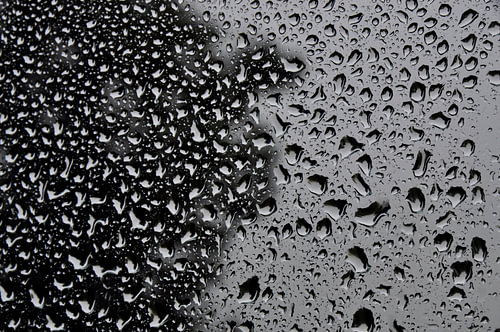 REGEN 2