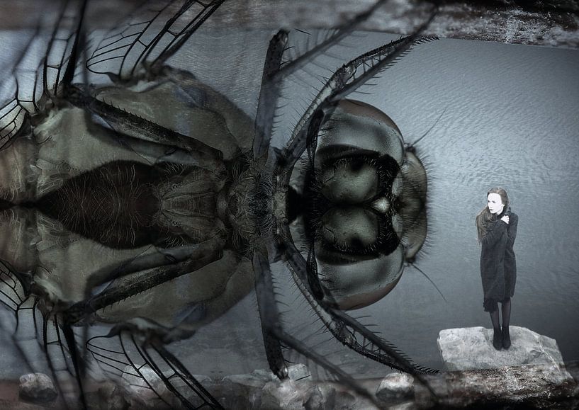 Ich bin beeindruckt von Andreas Schulte