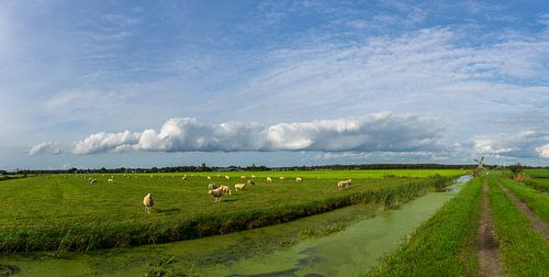 Molen het Zwaantje Nijemirdum