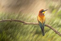 Moment der Leichtigkeit