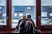 Katten Tijdens De Regen