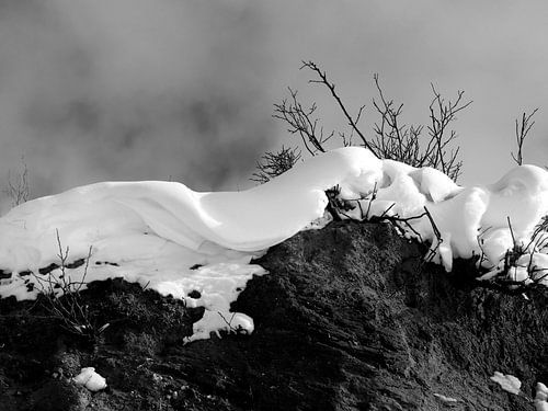 Schneezungen