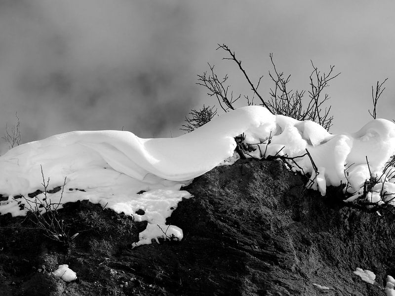 Snow Tongue by Jörg Hausmann