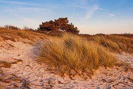 Strand in Kloster op het eiland Hiddensee