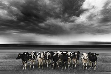 Koeien kijken van Marianne Binnenmars