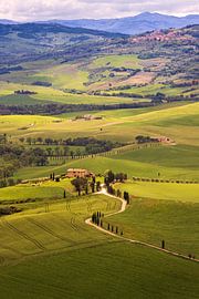 Hills of Tuscany Italy