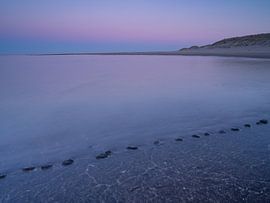 ombre de la terre sur Hillebrand Breuker