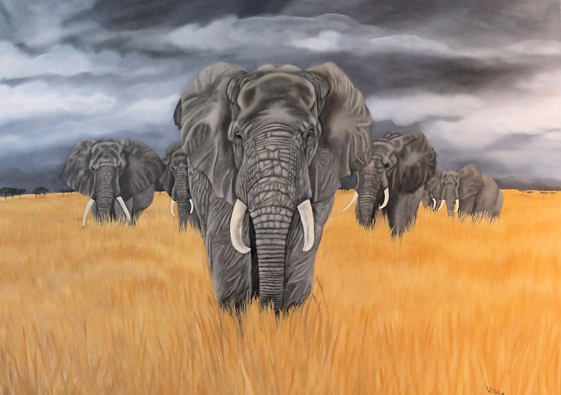 Troupeau d'éléphants par Veronika Metasch