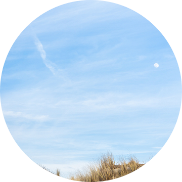 Duin met helmgras, blauwe lucht en opkomende maan van Simone Janssen