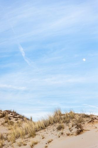 Düne mit Strandhafer, blauer Himmel und aufgehender Mond