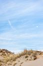 Duin met helmgras, blauwe lucht en opkomende maan van Simone Janssen thumbnail