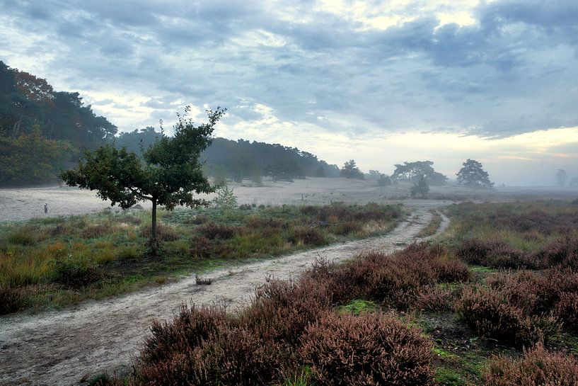 Landschaft mit Heidekraut von Henk Elshout