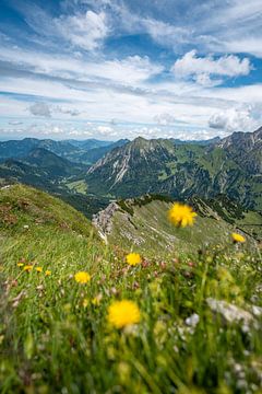 Bloemen met uitzicht op Bad Hindelang, Grünten en de Allgäu van Leo Schindzielorz