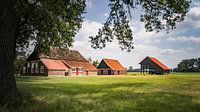 Bolkshoek farm by Freddy Hoevers thumbnail