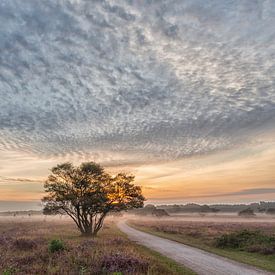 Early in the morning by Herman de Raaf