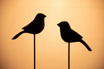love birds by JeVois NL Lesley Voois