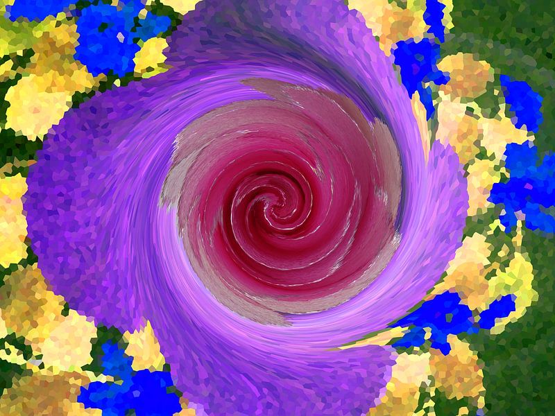 Play of colours in purple with a rose by Loreta