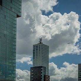 Architectuur kop van Zuid Rotterdam van Andy Van Tilborg