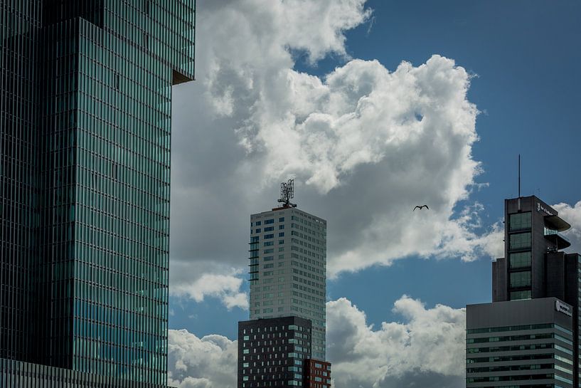 Architectuur kop van Zuid Rotterdam van Andy Van Tilborg