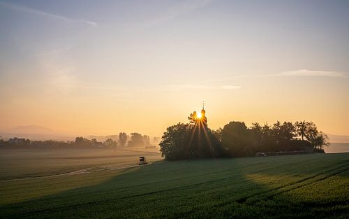 Thuringian meadows at the beginning of the day, Eifel, Rhineland-Palatinate, Germany