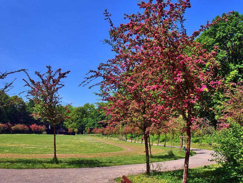 Forêt de la ville 23 par Edgar Schermaul