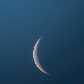 Croissant de lune à l'heure bleue sur Visuals by Justin