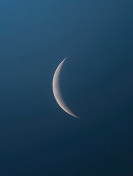 Halve maan tijdens het blauwe uur van Visuals by Justin
