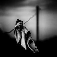 Flottement dans le vent