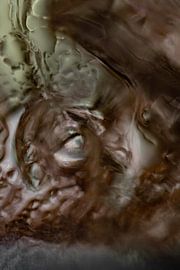 Brown Green Abstract Photo with Bird by Nanda Bussers