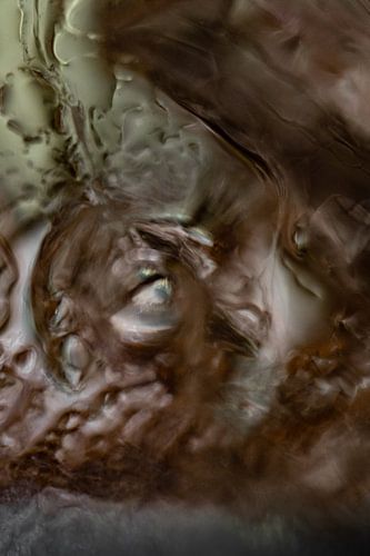 Bruin Groene Abstracte Foto met Vogeltje