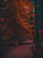 Herbst 2
