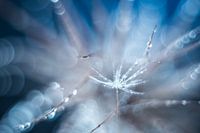 Explosion von Wassertröpfchen