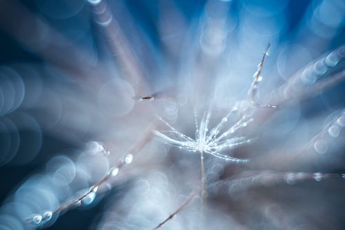 Explosie van water druppels