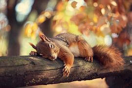 L'écureuil profite de la paix automnale sur Art & Soul Creations