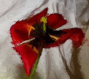 Tulpen dans van Kay Weber