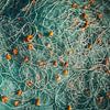 Portuguese fishing nets by Bas Koster
