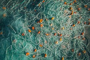 Filets de pêche portugais sur Bas Koster